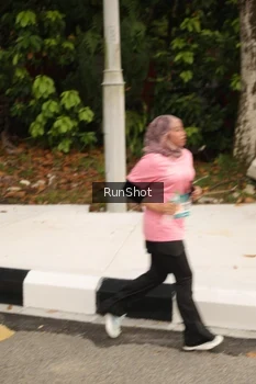 Runner Photo 4262370