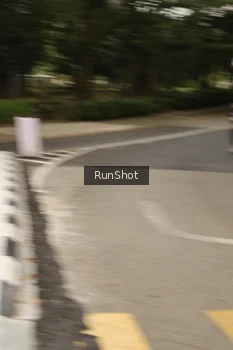 Runner Photo 4262373