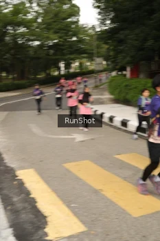 Runner Photo 4262574