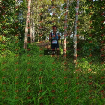 Runner Photo 4263
