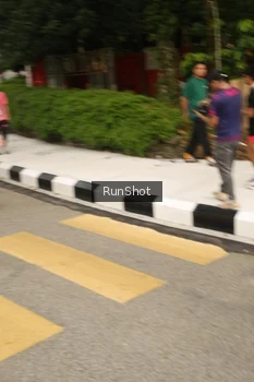 Runner Photo 4263081