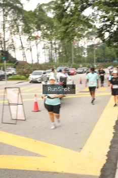 Runner Photo 4263396