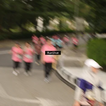 Runner Photo 4263483