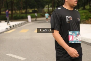 Runner Photo 4264320