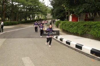 Runner Photo 4266666