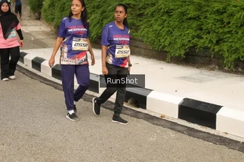 Runner Photo 4266883