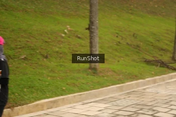 Runner Photo 4267195