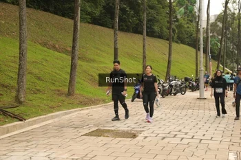 Runner Photo 4267201