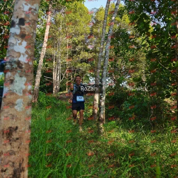 Runner Photo 4268
