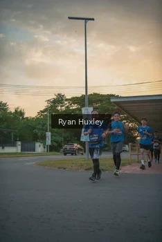 Runner Photo 4268274