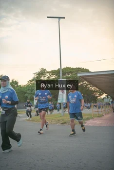 Runner Photo 4268793