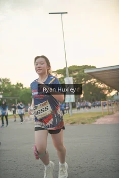 Runner Photo 4269227