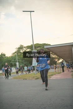 Runner Photo 4269395