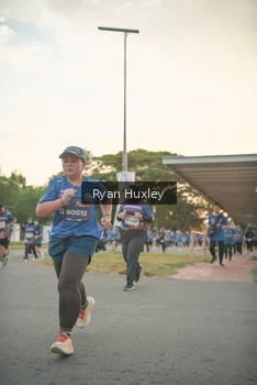 Runner Photo 4269795