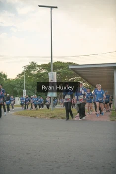 Runner Photo 4269891