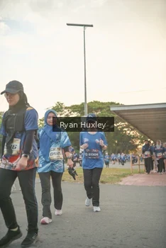 Runner Photo 4269916