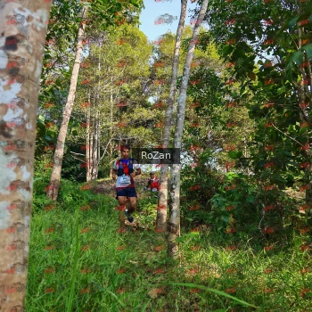 Runner Photo 4270