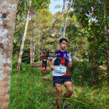 Runner Photo 4271