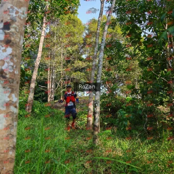 Runner Photo 4272