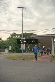 Runner Photo 4273400
