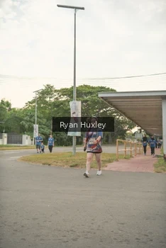 Runner Photo 4273498