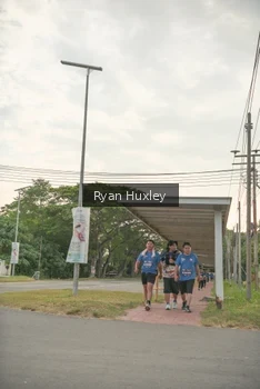 Runner Photo 4273650