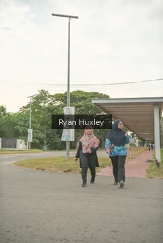 Runner Photo 4274183