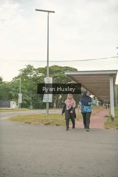 Runner Photo 4274200