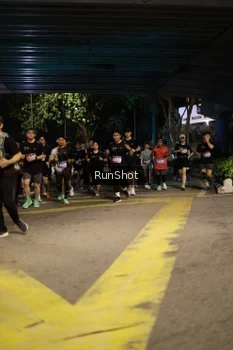 Runner Photo 4274518