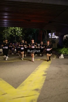 Runner Photo 4274737