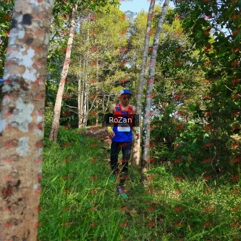 Runner Photo 4275