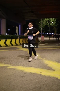Runner Photo 4277043