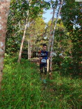 Runner Photo 4278