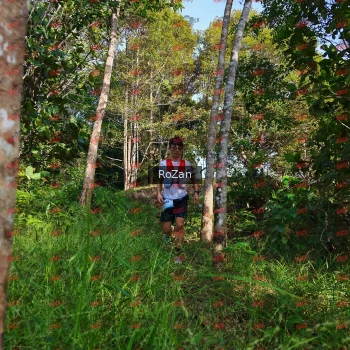 Runner Photo 4280