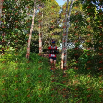 Runner Photo 4282