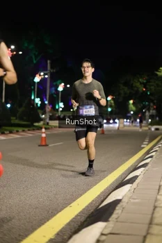 Runner Photo 4283359