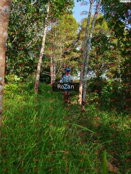 Runner Photo 4284