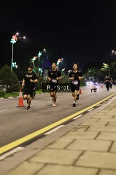 Runner Photo 4284622