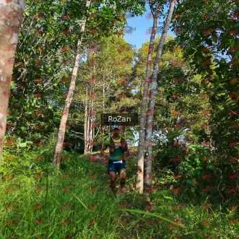 Runner Photo 4287