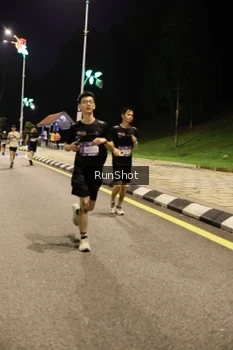 Runner Photo 4287579