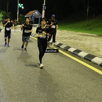 Runner Photo 4288180