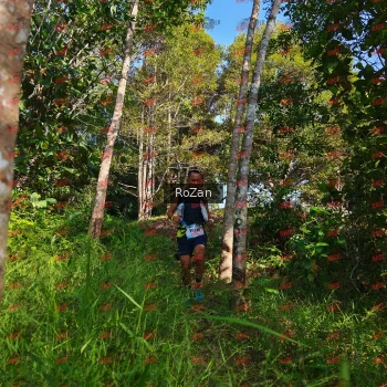 Runner Photo 4289