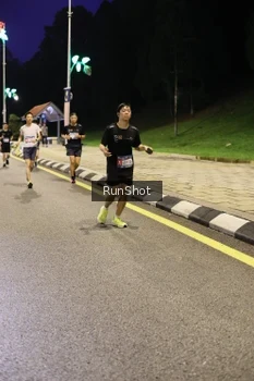 Runner Photo 4290297