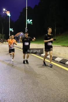 Runner Photo 4290367