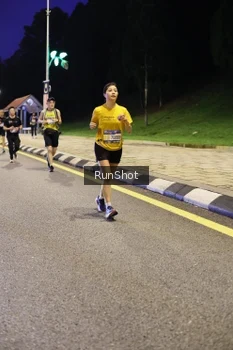 Runner Photo 4290671