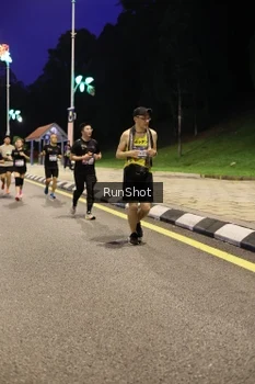 Runner Photo 4290683