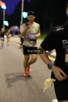 Runner Photo 4290720