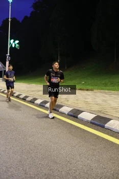 Runner Photo 4290871
