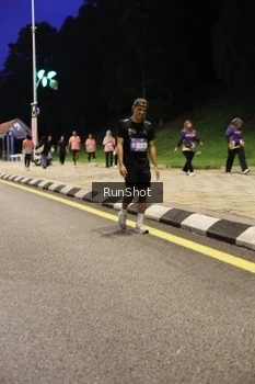 Runner Photo 4291241