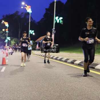 Runner Photo 4291433